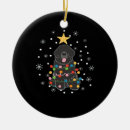 Search for newfie christmas tree decorations Puppy