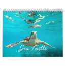 Search for turtle calendars Marine