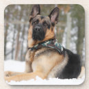 Search for german shepherd coasters Animal