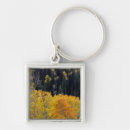 Search for deciduous forest accessories Autumn