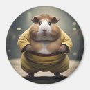 Search for sumo magnets Wrestler