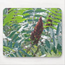 Search for berry mousepads Green