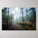 Search for trees in fog art Forest