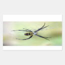 Search for big bug stickers Black