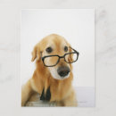 Search for office humour postcards Animal