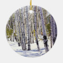 Search for snow ski christmas tree decorations Illustration