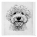 Search for curly art Pet