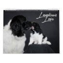 Search for black and white calendars Dogs