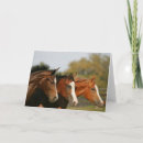 Search for three quarter cards Animal
