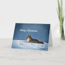 Search for coyote christmas cards Snow