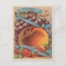 Search for vintage grapevine postcards Tourism