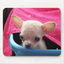 Search for dog mousepads Chihuahua