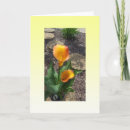 Search for beautiful blank cards Flowers