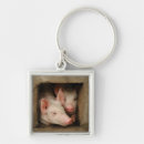Search for delta key rings Photography