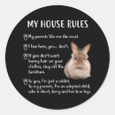 Search for bunny rabbits stickers Funny