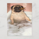 Search for bath invitations Animal