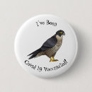 Search for prey badges Peregrine falcon