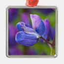 Search for stem christmas tree decorations Purple