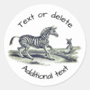 Search for zebra stickers art