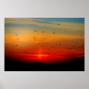 Search for bird flight posters Scenic