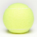 Search for blank tennis balls Professional branding