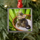 Search for domestic shorthair cat christmas tree decorations Feline