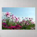Search for back lit posters Nature