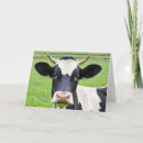 Search for cow birthday cards Funny