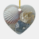 Search for shell the christmas tree decorations Sand