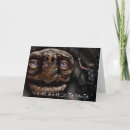 Search for funny turtles postcards Blue