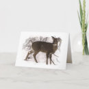 Search for spanish fathers day cards Padres