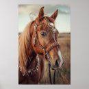 Search for frontier art Wild