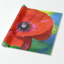 Search for photograph wrapping paper Green