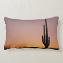 Search for cactus cushions Arizona