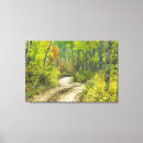 Search for aspen canvas prints Autumn