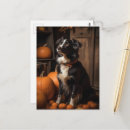Search for unique halloween postcards Black