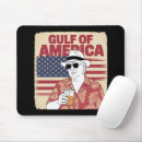 Search for gulf electronics Politics