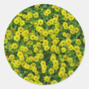 Search for floral photograph stickers Wildflowers