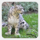 Search for panther cat stickers Feline