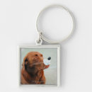 Search for quarter key rings Costume