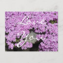 Search for love you postcards Flowers