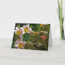 Search for manipulation cards Floral