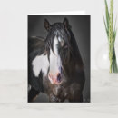 Search for portraits cards Colour