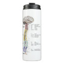 Search for brain drinkware Neurology