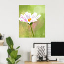 Search for cosmo posters Flower