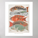 Search for coral reef art Vintage