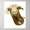 Search for animal faces posters Nature