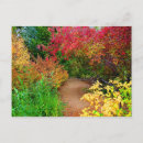 Search for shrubs postcards Autumn