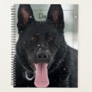 Search for german office supplies Veterinarian