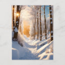 Search for snow covered Snowy